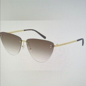 Gold and Brown Sunglasses